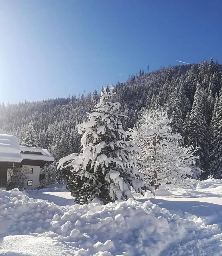 Pension Walchauhof Flachau Exteriér fotografie