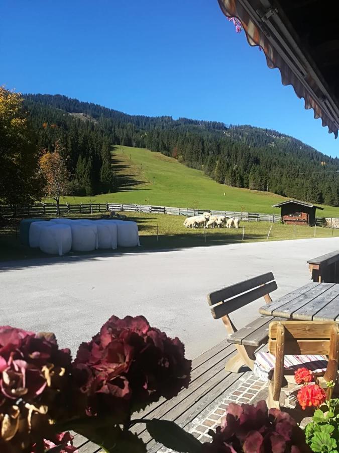 Pension Walchauhof Flachau Exteriér fotografie