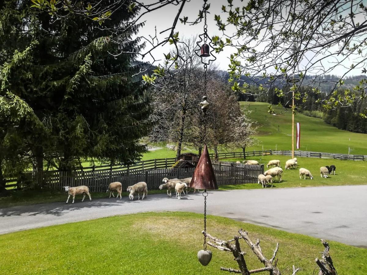 Pension Walchauhof Flachau Exteriér fotografie